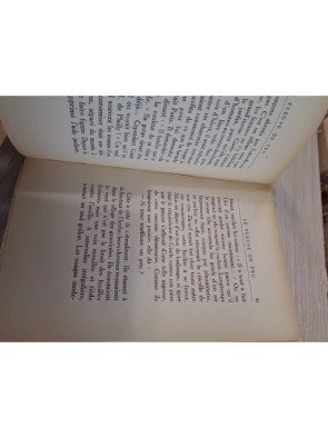 Le Fleuve de feu – François Mauriac