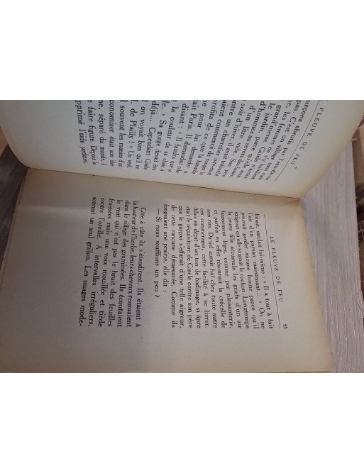 Le Fleuve de feu – François Mauriac