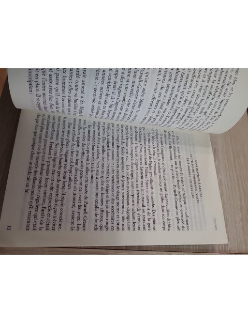 L'expert – Trevanian