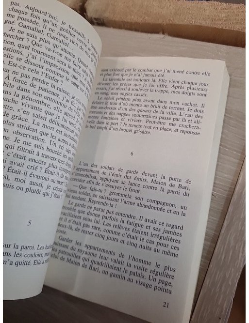 Le hors venu – L'épopée des Normands de Sicile, Tome 3