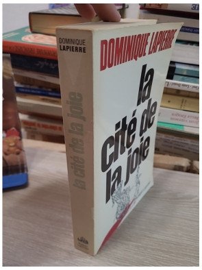 La cité de la joie - Dominique Lapierre