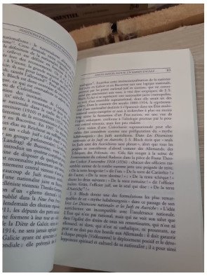 Les Juifs viennois à la Belle Époque - Jacques Le Rider