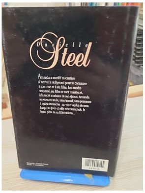 Renaissance – Danielle Steel