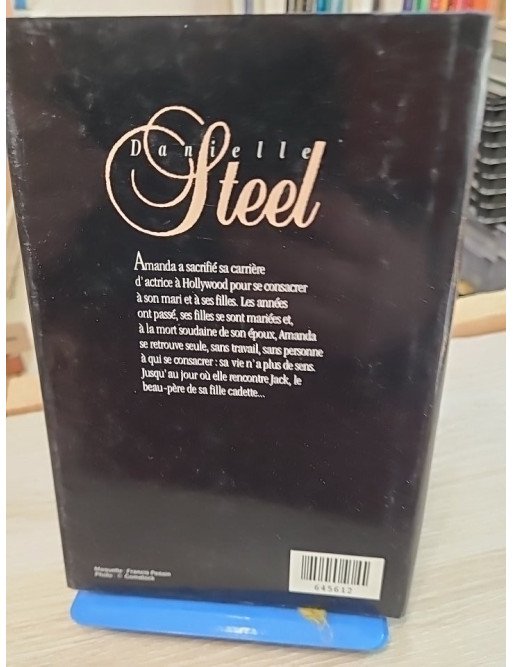 Renaissance – Danielle Steel