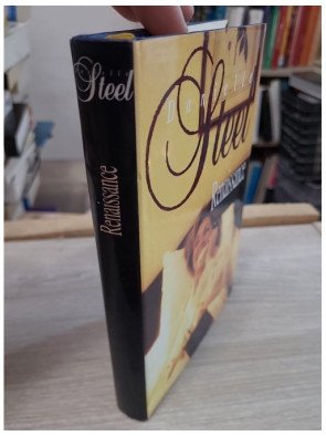 Renaissance – Danielle Steel