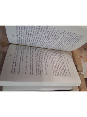 Renaissance – Danielle Steel