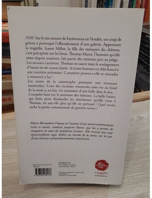 La Galerie des jalousies - Tome 1 – Marie-Bernadette Dupuy