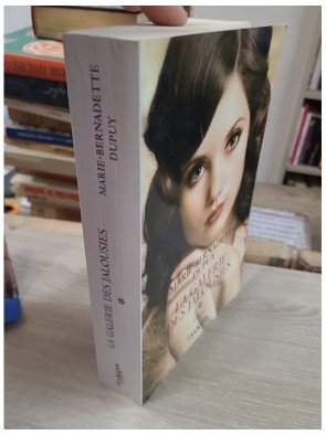 La Galerie des jalousies - Tome 1 – Marie-Bernadette Dupuy