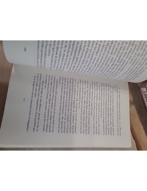 La Galerie des jalousies - Tome 1 – Marie-Bernadette Dupuy