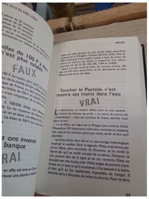 Le gros dico du vrai-faux – Jérôme Duhamel