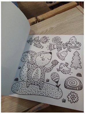 Forêt – Avec 1 pinceau – Atelier Cloro