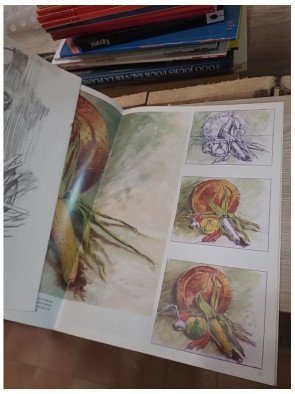 Lefranc & Bourgeois Léonardo n°24 – Album d'étude Natures mortes – Colart