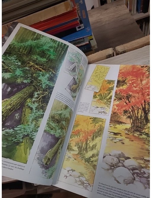 Lefranc Bourgeois Album Léonardo n°15 – Paysage à l’aquarelle – Colart