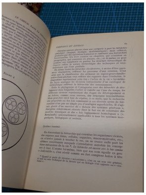 Le cheval dans la locomotive