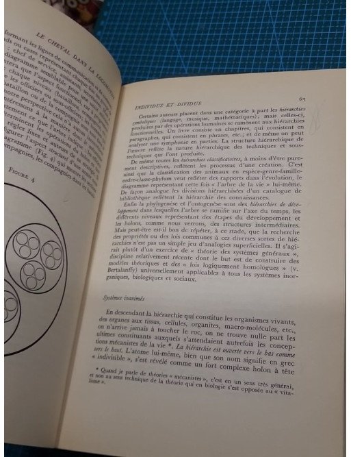 Le cheval dans la locomotive