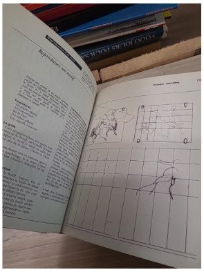 L'encyclopédie du bricolage - Autori Vari