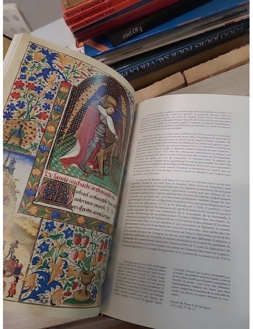 Le Miroir du pouvoir - Colette Beaune