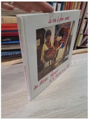 La Vie à Plein Cœur… Les Artistes Peignant de la Bouche et du Pied - Collectif