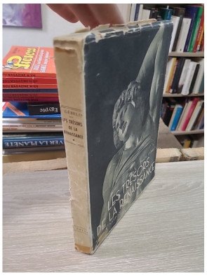 Les trésors de la Renaissance - François Gébelin