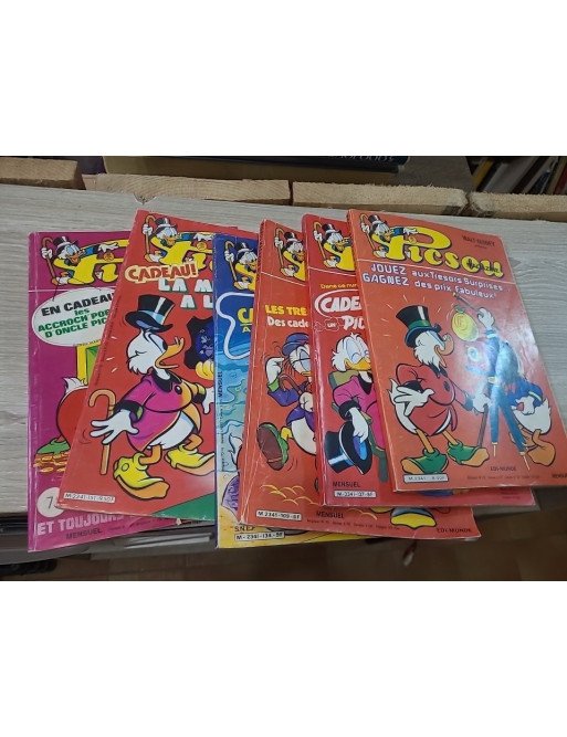 LOT DE 6 MAGASINE PICSOU