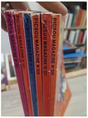 LOT DE 6 MAGASINE PICSOU