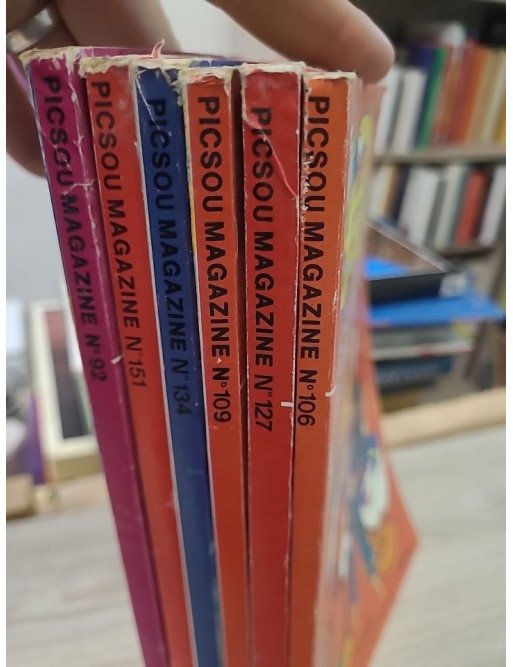 LOT DE 6 MAGASINE PICSOU