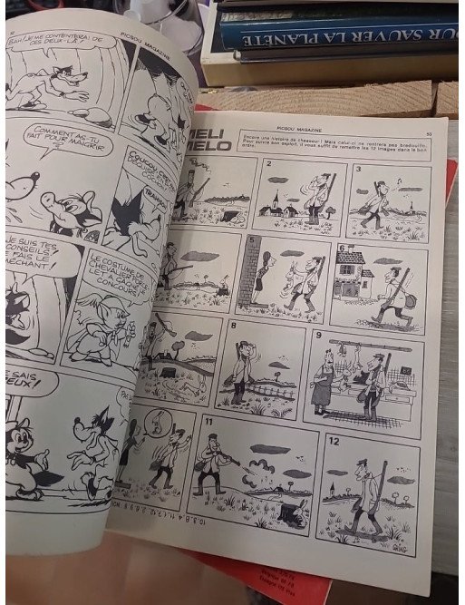 LOT DE 6 MAGASINE PICSOU