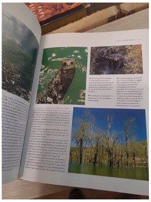 5000 jours pour sauver la planète – Edward Goldsmith