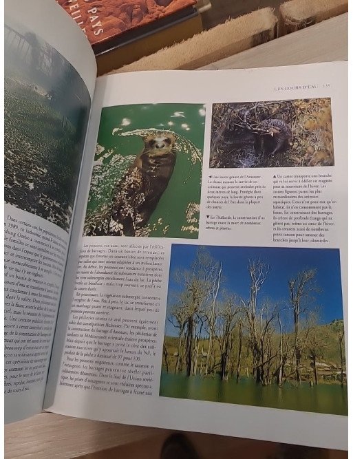 5000 jours pour sauver la planète – Edward Goldsmith