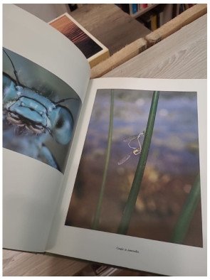 La planète des insectes – Claude Nuridsany