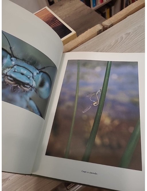 La planète des insectes – Claude Nuridsany