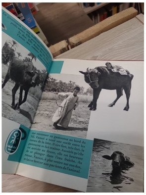 Faouzi, le petit Égyptien – Dominique Darbois