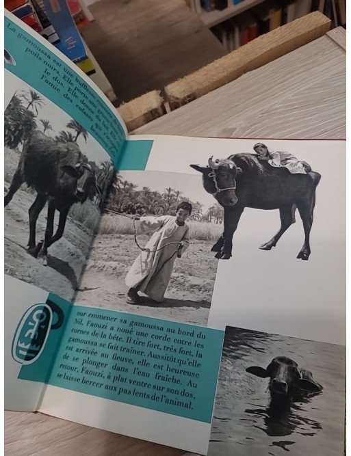 Faouzi, le petit Égyptien – Dominique Darbois