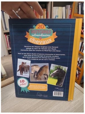 20 Histoires extraordinaires de chevaux – Olivier Lhote