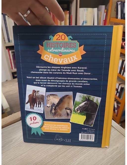 20 Histoires extraordinaires de chevaux – Olivier Lhote