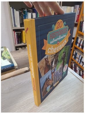 20 Histoires extraordinaires de chevaux – Olivier Lhote