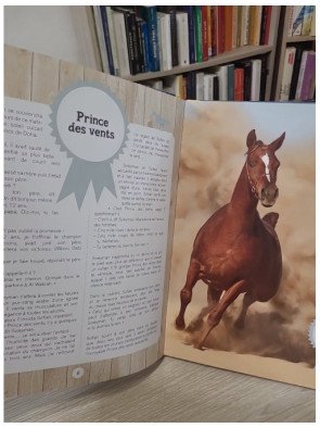 20 Histoires extraordinaires de chevaux – Olivier Lhote