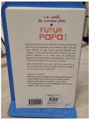 Futur papa ! Les secrets des nouveaux pères – Fabrice Florent