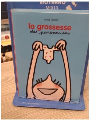 La grossesse des paresseuses – Anna Deville