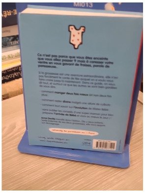 La grossesse des paresseuses – Anna Deville