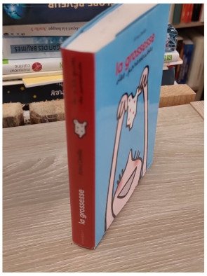 La grossesse des paresseuses – Anna Deville