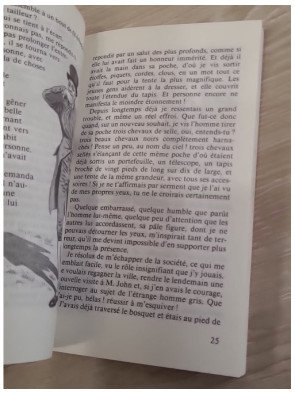 La merveilleuse histoire de Peter Schlemihl ou l'homme qui a perdu son ombre - Adelbert von Chamisso