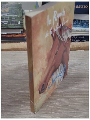 Le Ranch de la Pleine Lune T6 Sacré Lucky - Jenny Oldfield