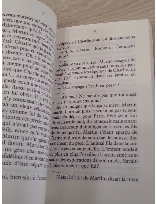 Ice cream était presque parfait - Amélie Range