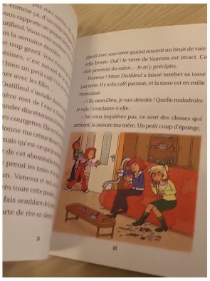 C'est la vie Lulu, Tome 14 - Je me fais toujours gronder - Florence Dutruc-Rosset