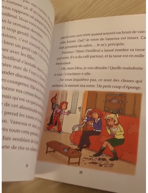 C'est la vie Lulu, Tome 14 - Je me fais toujours gronder - Florence Dutruc-Rosset