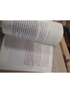 La tragique épopée de Raoul de Cambrai – Jean-Pierre Tusseau