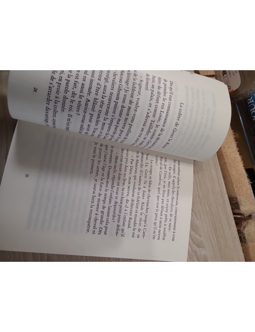 La tragique épopée de Raoul de Cambrai – Jean-Pierre Tusseau