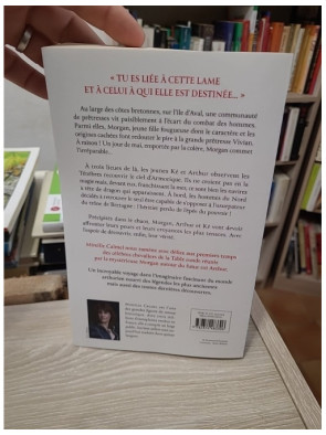 Morgan des brumes - L'épée du pouvoir