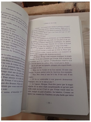 Morgan des brumes - L'épée du pouvoir